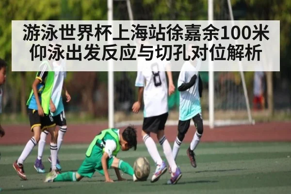 游泳世界杯上海站徐嘉余100米仰泳出发反应与切孔对位解析